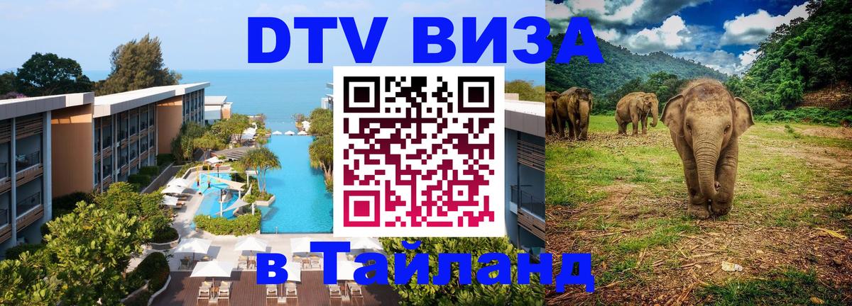 Сколько стоит DTV виза — актуальные цены, оформление даже без документов - Ватикан  05.10.2025 
